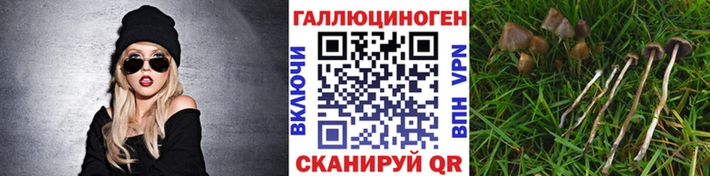 Псилоцибиновые грибы MAGIC MUSHROOMS  Калининград 