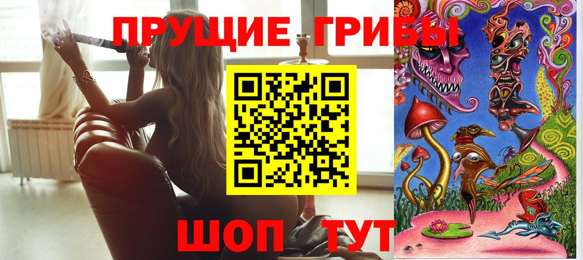 Псилоцибиновые грибы GOLDEN TEACHER Калининград